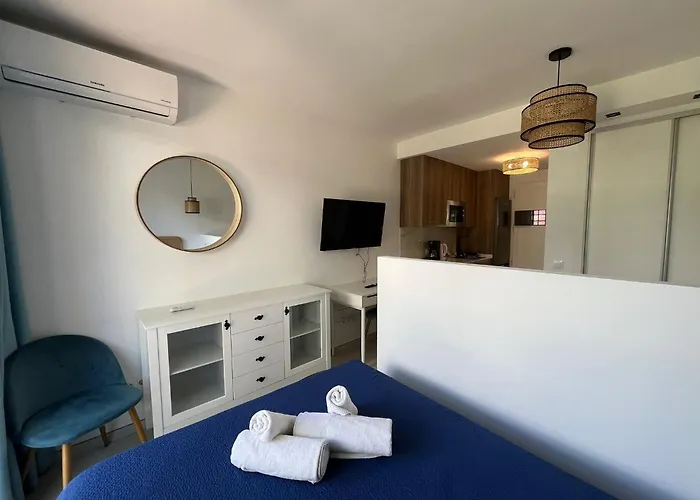 - Playa - Estudio Con Terraza Pa8